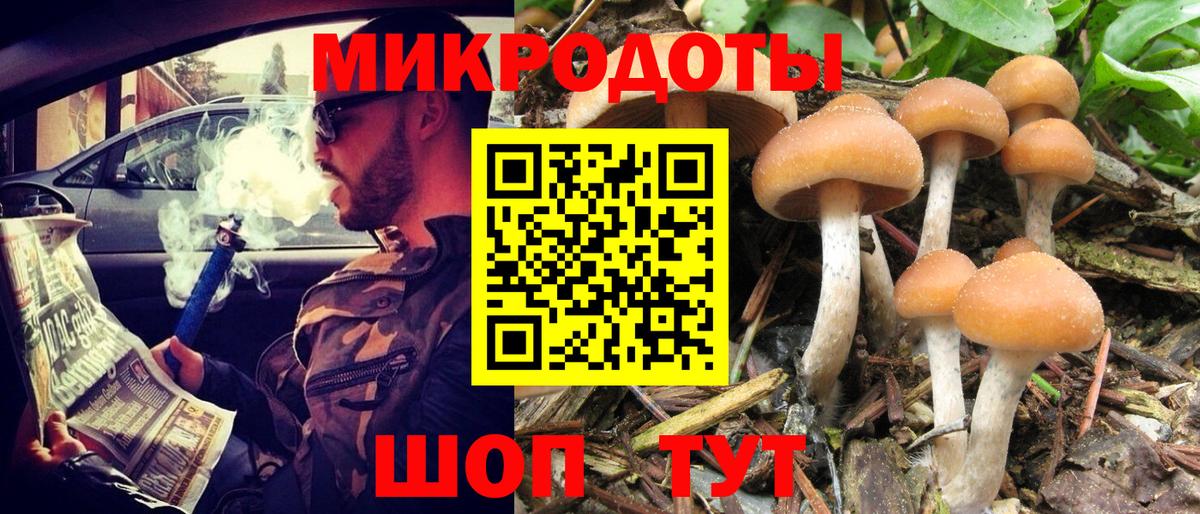Горно-Алтайск  Псилоцибиновые грибы MAGIC MUSHROOMS  наркотики  Вход с VPN 