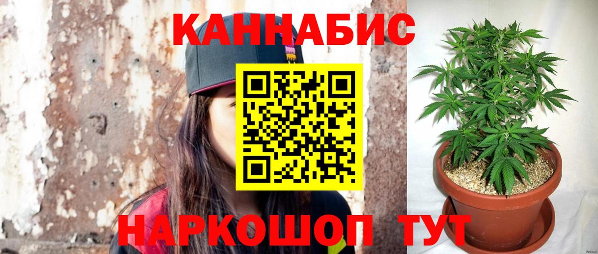 Шишки марихуана White Widow  Каннабис план  Каннабис конопля  Шишки марихуана тримм  Вход с VPN  Горно-Алтайск 